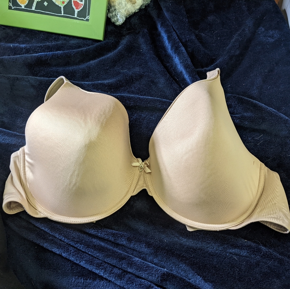 NWOT Parfait 42DDD nude bra